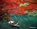 Japan Video Topics_01